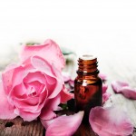 ROSEBO