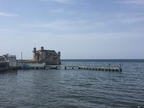 コヒマル地球の歩き方の写真を参考に撮ってみた