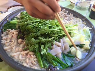 春菊もお庭の畑で取れる☆